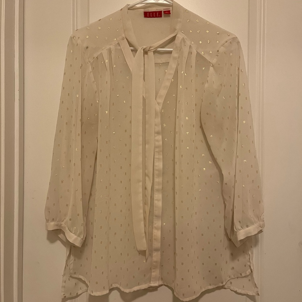 Sheer long sleeve blouse.